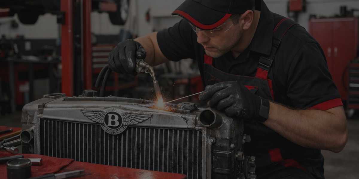 audi-diagnostics